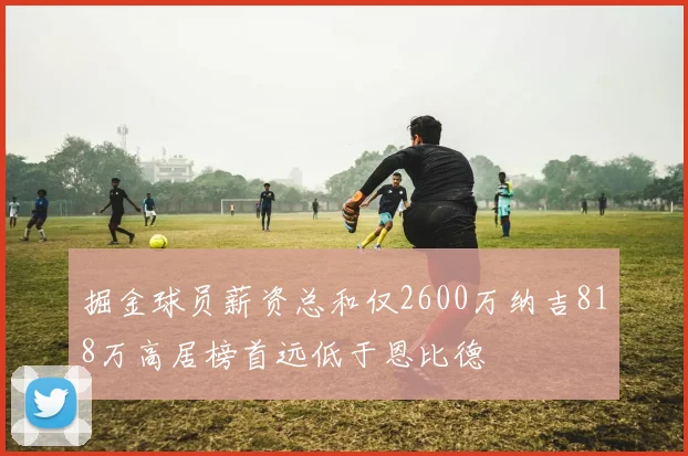 掘金球员薪资总和仅2600万纳吉818万高居榜首远低于恩比德