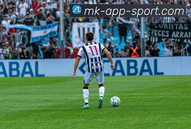 MK体育APP 封面图