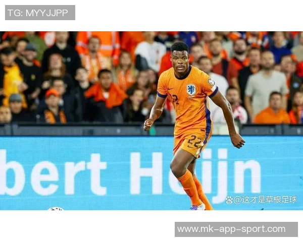 邓弗里斯计划1月中旬回归米兰力争3月初恢复比赛状态